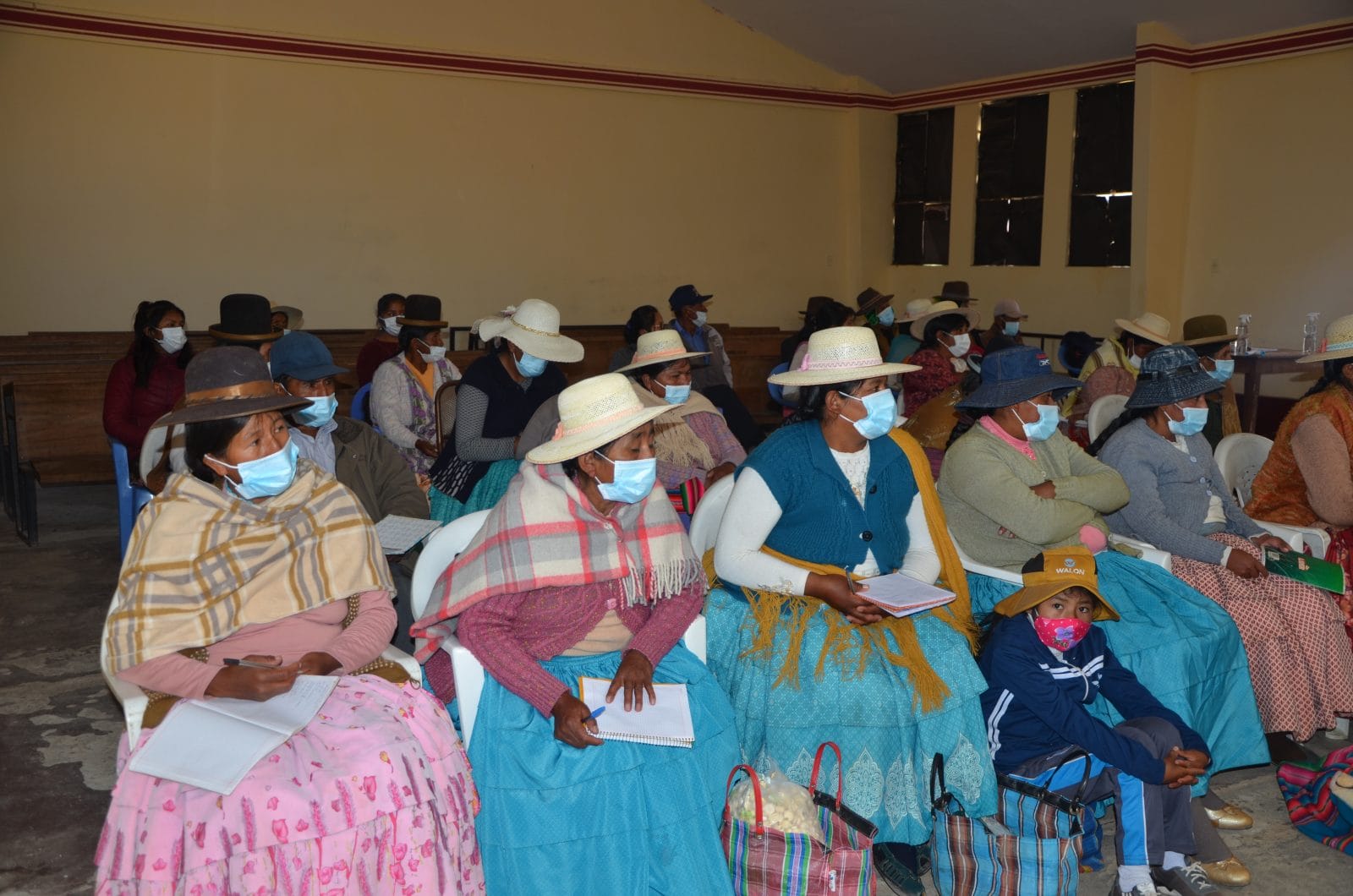 Colquencha y Collana refuerzan capacidades para la producción ...